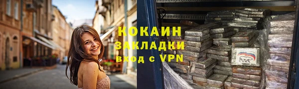 соль ск Алексин