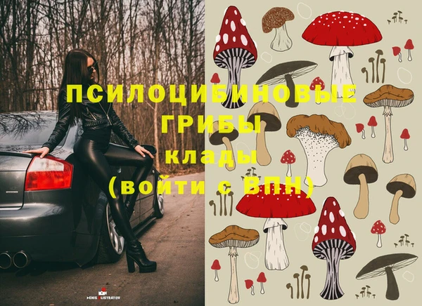 не бодяженный Алзамай