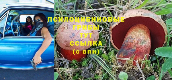 соль ск Алексин