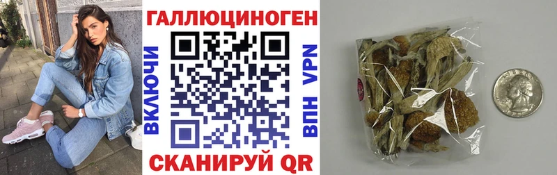 купить наркотики цена  Томилино  Псилоцибиновые грибы мухоморы 